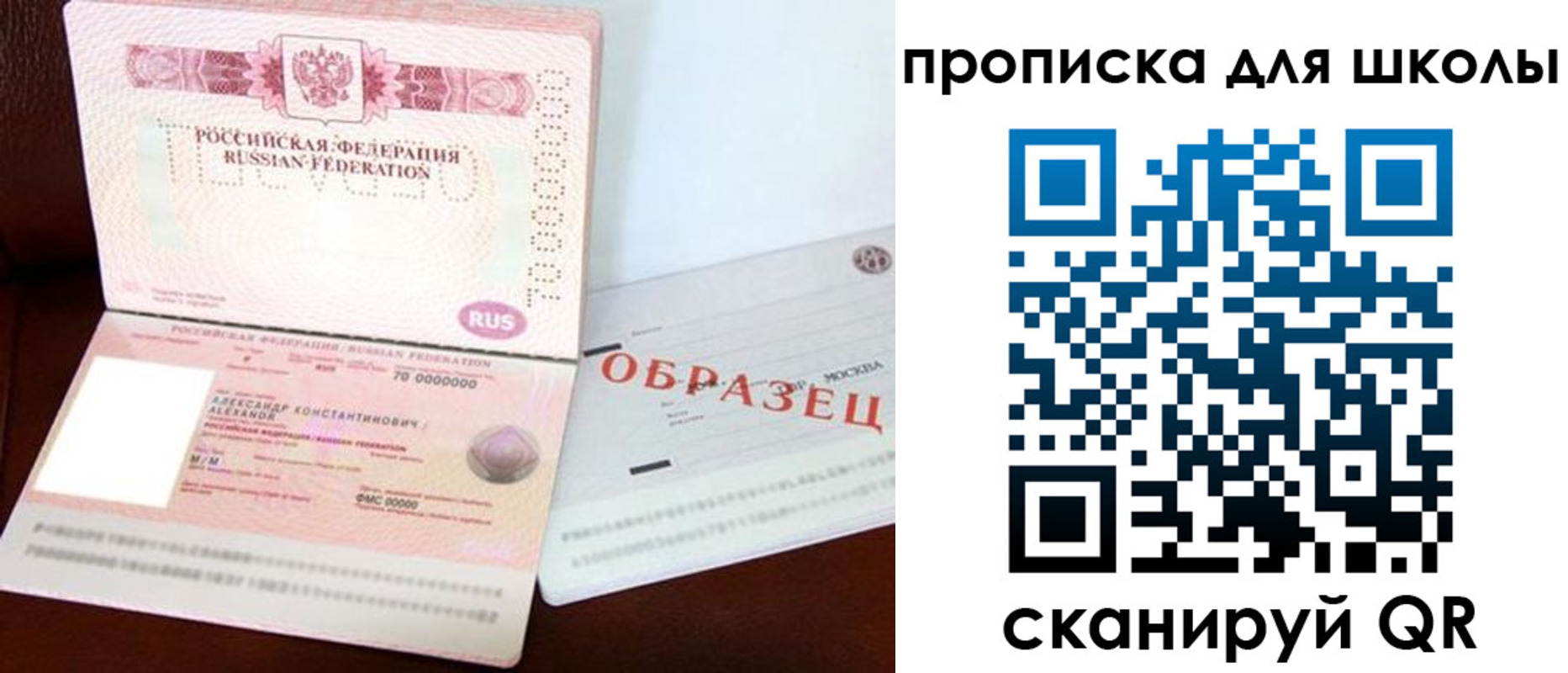 прописка для школы в Тосно